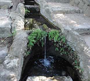 Rodini park u města Rhodos