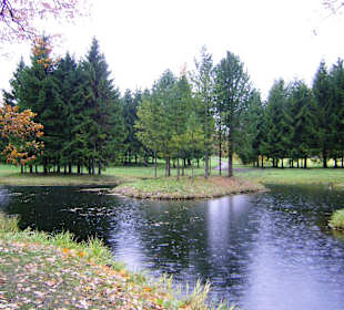 Park Katarzyny