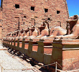 Tagesausflug nach luxor Hurghada-EL Gouna