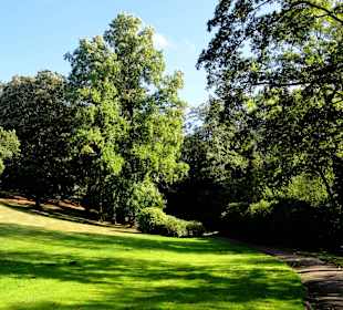 Herbstspaziergang durch Knoops Park