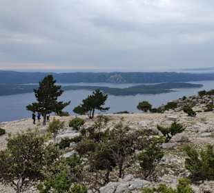 Blick auf die Inselwelt