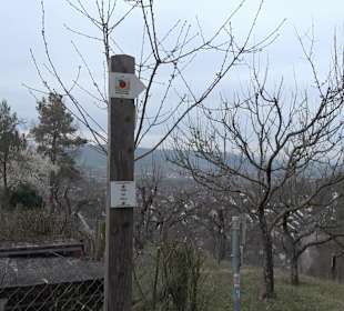 Unterjesinger Wengertwegle