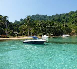 Schnorchelausflug mit Green Island Divers