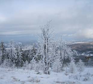 Auf dem Berg Heufuder