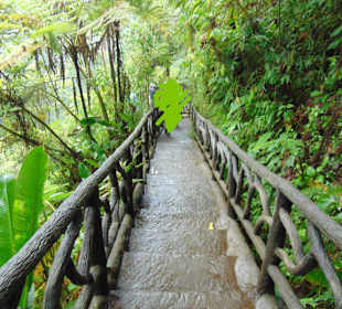 La Paz Waterfall Gardens