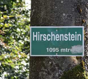 Der Hirschenstein
