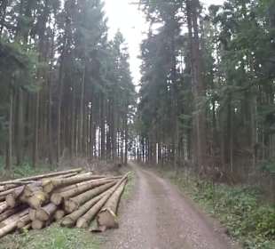 Wanderstrecke Panoramaweg D1