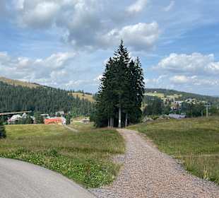 Wandern Feldberg
