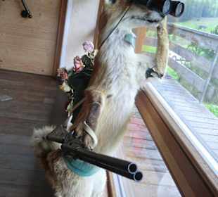 Na, wer kommt denn da?