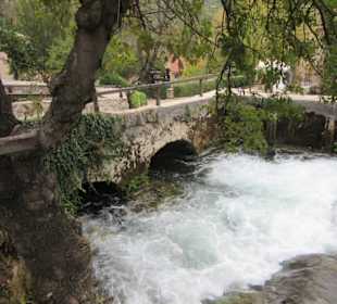 Beginn des Rundgangs