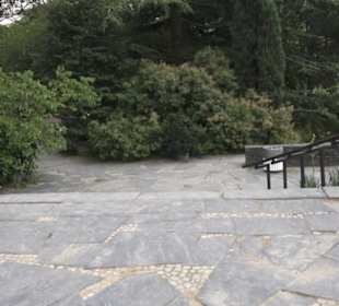 Mittelmeerterrassen - Alter Botaischer Garten