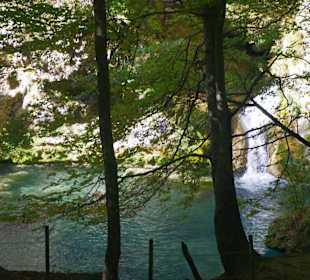 Горный нацпарк Истоки реки Уредерра, Наварра