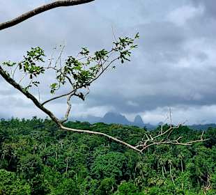 Parque Natural Obô do Príncipe
