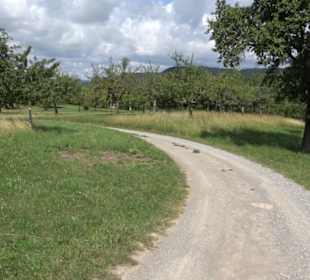 Wanderweg Ammerbucher Gigeleswegle