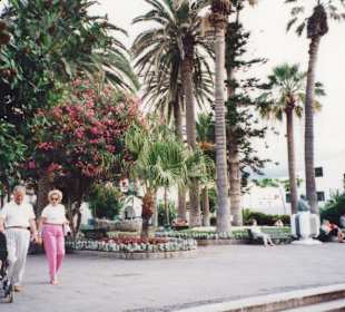 Der Plaza del Charco in Puerto de la Cruz