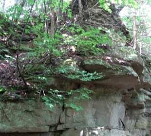 Wanderweg - Alter Steinbruch Pfaffenberg Runde