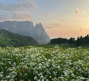 Sport & Freizeit