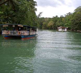 Loboc River Tour