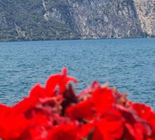 Tolle Farben toller Hintergrund