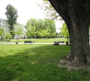 Park