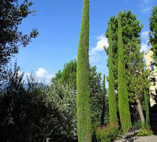 Impressionen vom Rundgang durch die Gärten