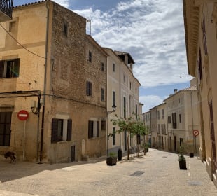 Altstadt Arta