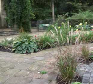 Rosengarten im Tiergarten
