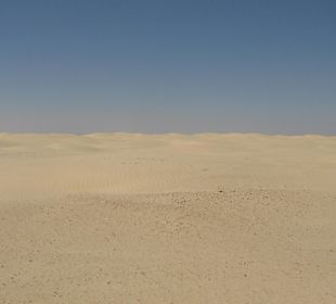 Sahara