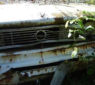 Autofriedhof am Foxen