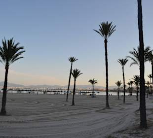 El Arenal at the morning - The Best Beach