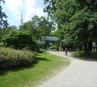 Parkanlage Planten un Blomen