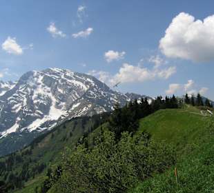 Sie lassen sich hoch steigen