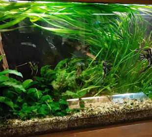 Exotarium 