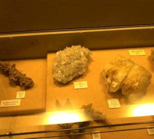 Naturhistorisches Museum