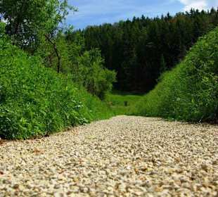 Wanderung zum Bärenfels