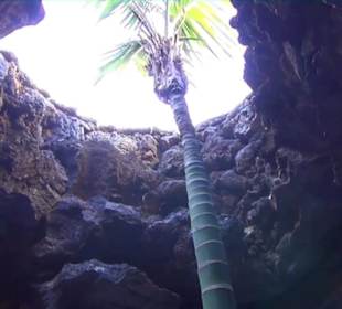 Fundacion Cesar Manrique