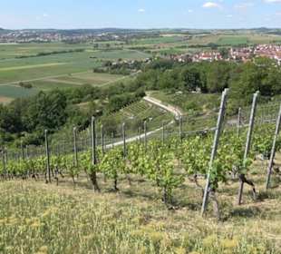 Früchtetrauf - Wurmlinger Kapellenwegle