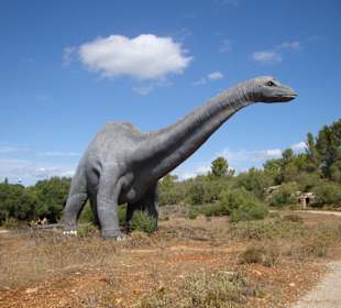 Das ist der Größte