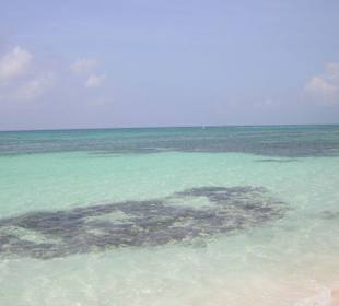 Isla Saona