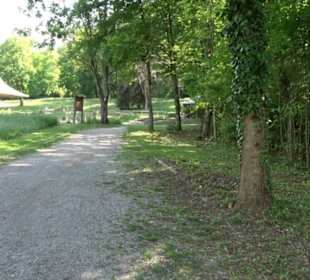 Kurpark Bad Niedernau