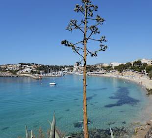 Porto Cristo