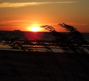 Sonnenuntergang am Kap Kolka