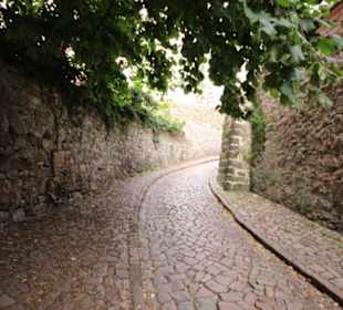 Hohlweg zum Burgberg 