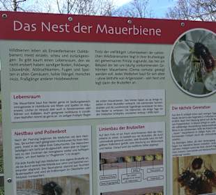 Gomaringer Rundweg - Zu den Giganten im Wald