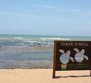 Schild am Beach Projekt Tamar