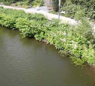 Parkanlage Planten un Blomen