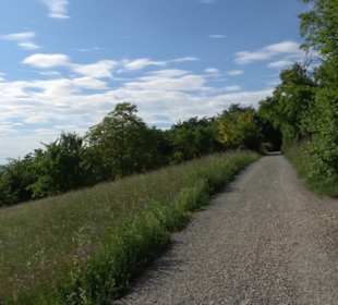 Weilerburg