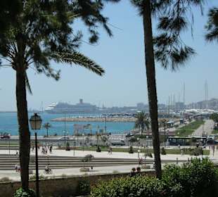 Blick von der Kathedrale Richtung Hafen