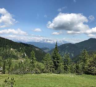 Wandern Flachau