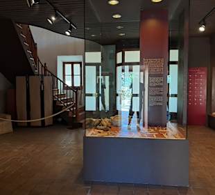 Museu de la Llata (Castell Capdepera)